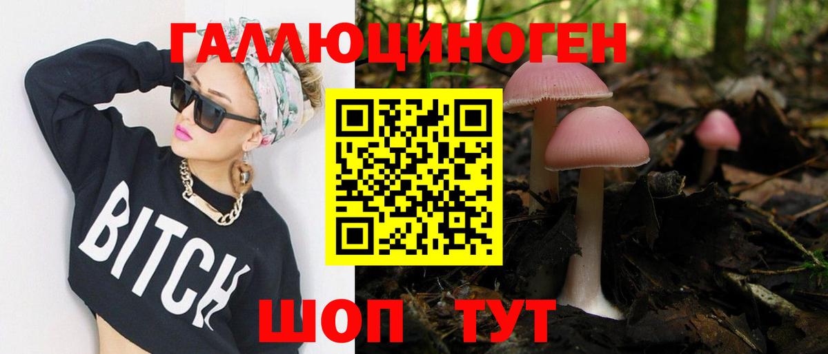 Анапа  Псилоцибиновые грибы Magic Shrooms  Вход с VPN 